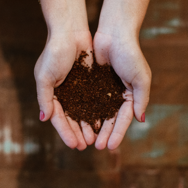 How to make compost