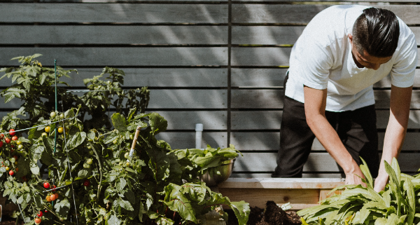 Comment faire du compost