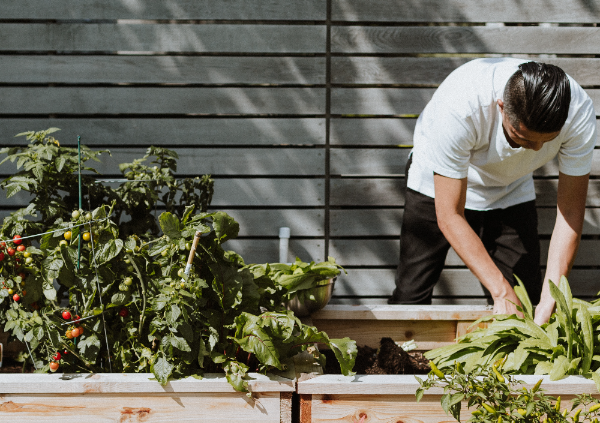 Comment faire du compost