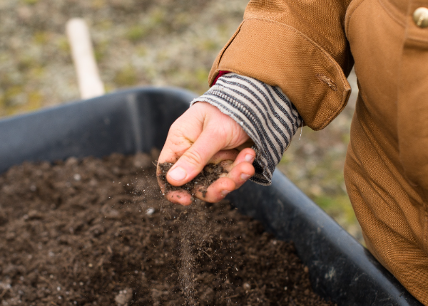 How to make compost