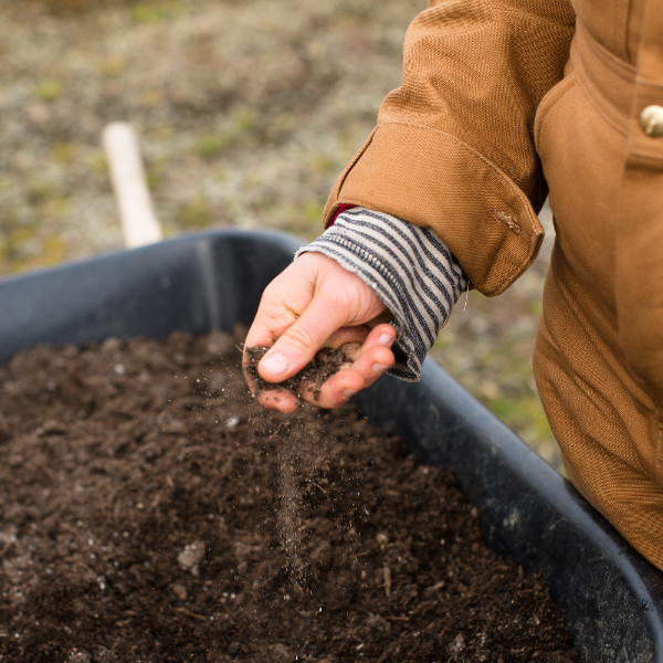 How to make compost